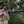 Umarex Emerge Multi-shot Rifle by Umarex