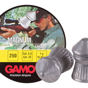 Gamo Magnum .22
