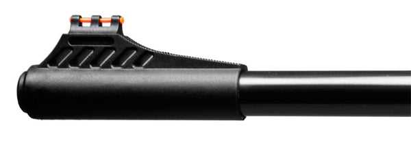 Rifle Ruger Air Magnum Combo by Ruger